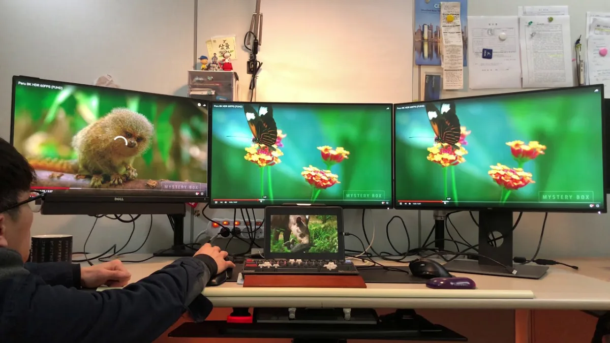 How Many Monitors Can Intel UHD 630 Support (2026 Complete Guide)